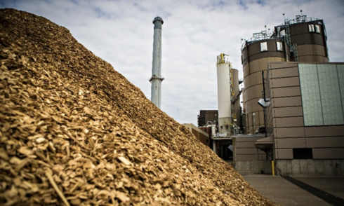 Japanese corporation seeks to develop biomass power in Vietnam