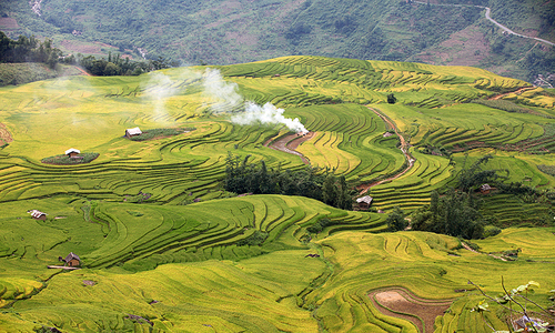 5 điểm đến cho phụ huynh đưa trẻ du lịch hè
