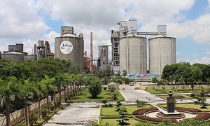 Cement giant Vicem breaks two-year losing streak