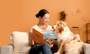 FWD cải tiến hợp đồng bảo hiểm và ứng dụng di động