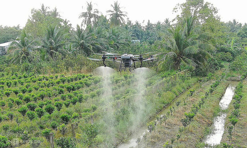 Why are crops increasingly reliant on pesticides?