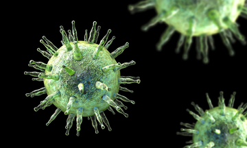 Loại virus có thể làm tăng 5 lần nguy cơ ung thư
