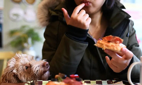 The mystery of people who 'can't gain weight'