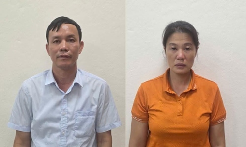 Giám đốc lâm trường bị bắt vì khai thác gỗ trái phép