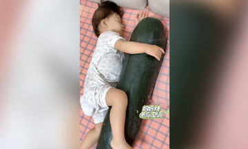 Ôm bí đao ngủ để tránh nóng