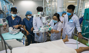 6 người tử vong do sốt xuất huyết, TP HCM tăng cảnh báo dịch