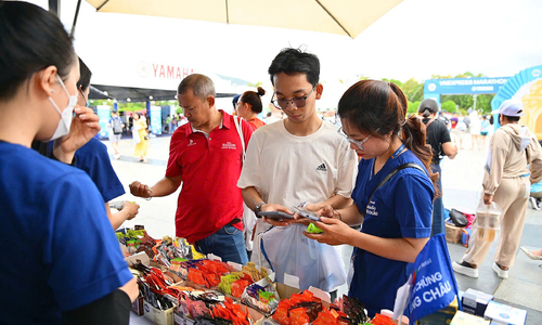 Những điều cần biết trước khi tham gia VnExpress Marathon Đà Nẵng