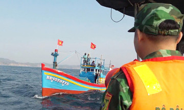 Gia Lai không cho 650 tàu cá vi phạm ra khơi