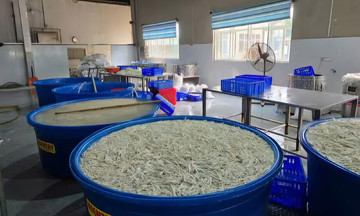 Hơn 13 tấn chân gà ngâm chất tẩy trắng bị phát hiện
