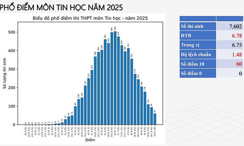 High school graduation exam 2025: informatics scores released