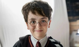 New Harry Potter casting revealed