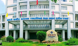Trường Đại học Cần Thơ lên đại học