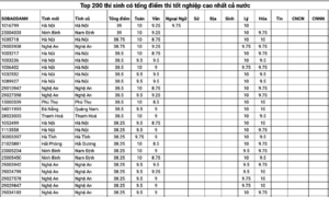 Top 200 thí sinh có tổng điểm thi tốt nghiệp cao nhất