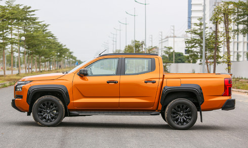 Pickup truck market share in the first half of 2025