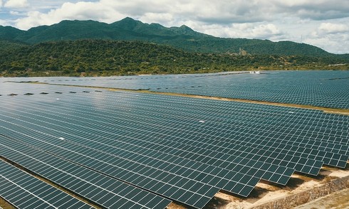 ROX Group champions community outreach and clean energy
