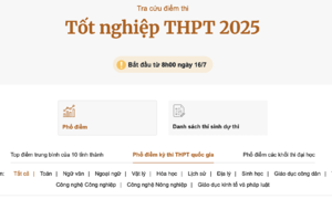 Tra cứu điểm thi tốt nghiệp THPT 2025 trên VnExpress