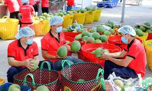 30 years of Vietnam - US business relations