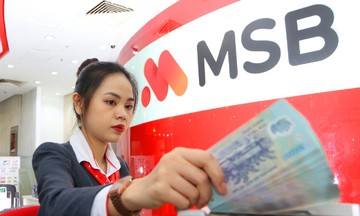 MSB công bố khung tài chính bền vững
