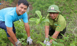 HP Vietnam launches northwestern forest restoration campaign