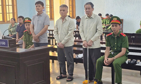 Company chairman sentenced for illegal logging in Gia Lai