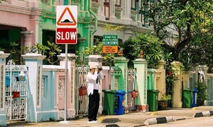 48 giờ đi khắp Singapore chỉ bằng hai tuyến xe buýt