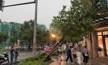 Miền Bắc hứng chịu siêu giông hiếm gặp