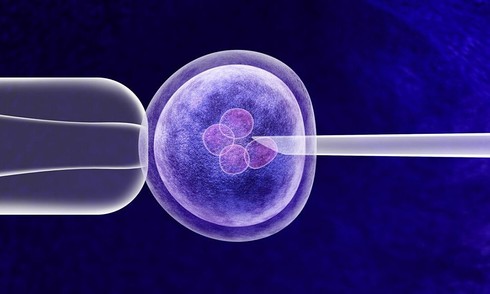 Babies born healthy with DNA from three people