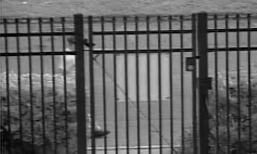 The mysterious figure in the case of the young woman who 'suddenly vanished'