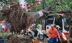 Hàng loạt cây đổ, nhà tốc trong giông lốc ở Hà Nội