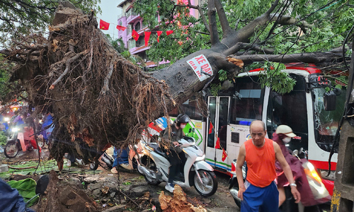 Hàng loạt cây đổ, nhà tốc trong giông lốc ở Hà Nội