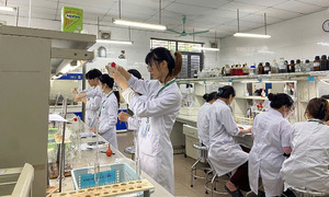 Hanoi University of Pharmacy admissions standards fluctuations over the past three years
