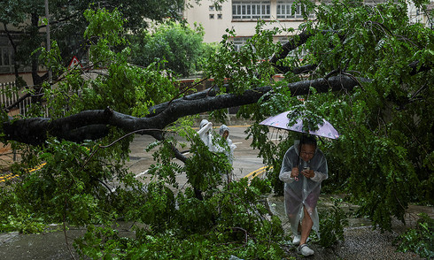 Typhoon Wipha lashes southern China