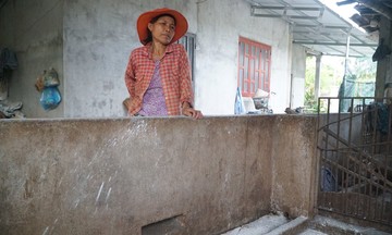 Người dân bị thu tiền khi tiêu hủy heo chết do dịch tả