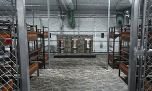 Cuộc sống giữa đầm lầy đầy muỗi ở 'nhà tù cá sấu' Mỹ