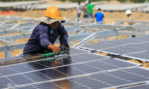 Global businesses face 'green' talent shortage