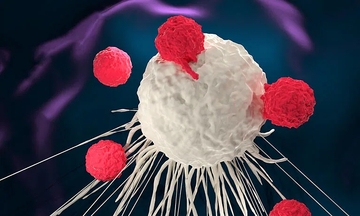 Dùng virus điều trị ung thư, khối u thu nhỏ sau 28 ngày