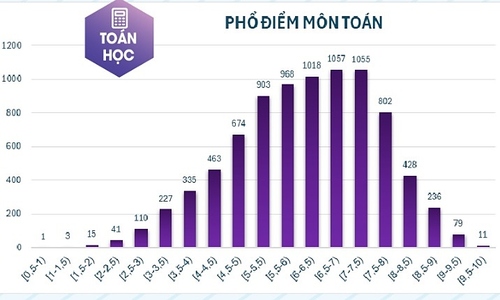 HCMUE aptitude test scores revealed