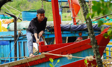 Dừng họp, lên kịch bản sơ tán dân trước khi bão Wipha đổ bộ