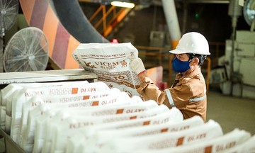 Xi măng Hà Tiên lãi cao nhất 3 năm