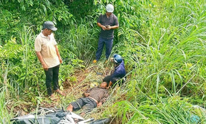 Man found comatose in grassy area after 4 days missing