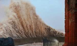 Tropical storm Wipha weakens to tropical depression