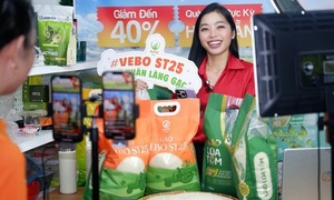 Small businesses revived through online sales