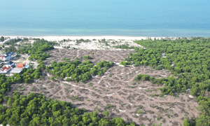 Investigation into illegal sale of over 2.5 hectares of protected forest