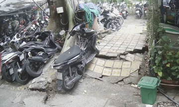 Cây cao 20 m bật rễ, uy hiếp hàng chục hộ dân ở TP HCM