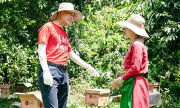 Chương trình 'Đại sứ cộng đồng LG' cùng trồng rừng, trao sinh kế