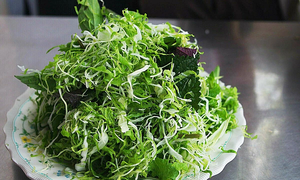 Woman contracts two parasitic infections from pets and raw vegetables