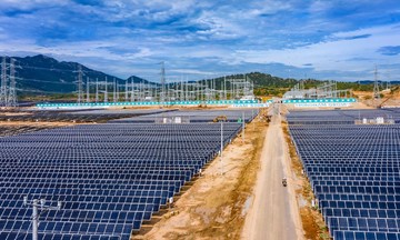 Công ty điện mặt trời của Trung Nam lãi gần 140 tỷ