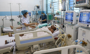 Tổn thương gan do sốt xuất huyết
