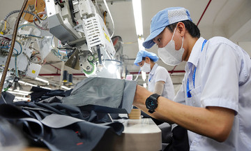 Chuyên gia: Thuế thu nhập cá nhân chỉ nên tối đa 20-25%