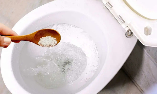 Tại sao nên rắc muối vào bồn cầu?